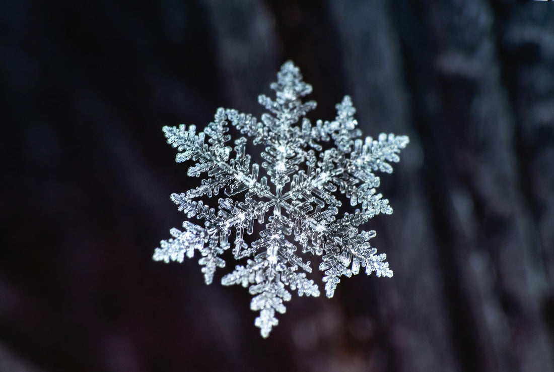 AI News 24th December 2025