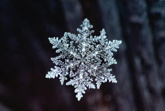 Vijesti o umjetnoj inteligenciji, 24. decembar 2025