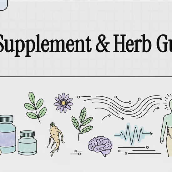 Adimen Artifizialaren Osagarri eta Belar Gida Bideoa 2