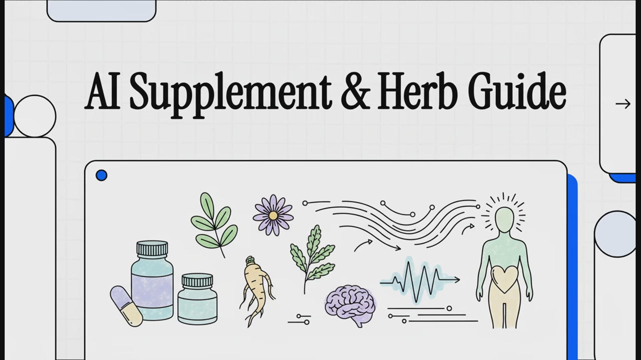 Adimen Artifizialaren Osagarri eta Belar Gida Bideoa 2